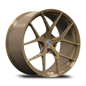 <b>Кованые GARD FI-R</b></br>R21 | 5-130 | 9.5j/11.5j | ET60/ET60